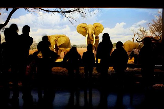 Tour image 2